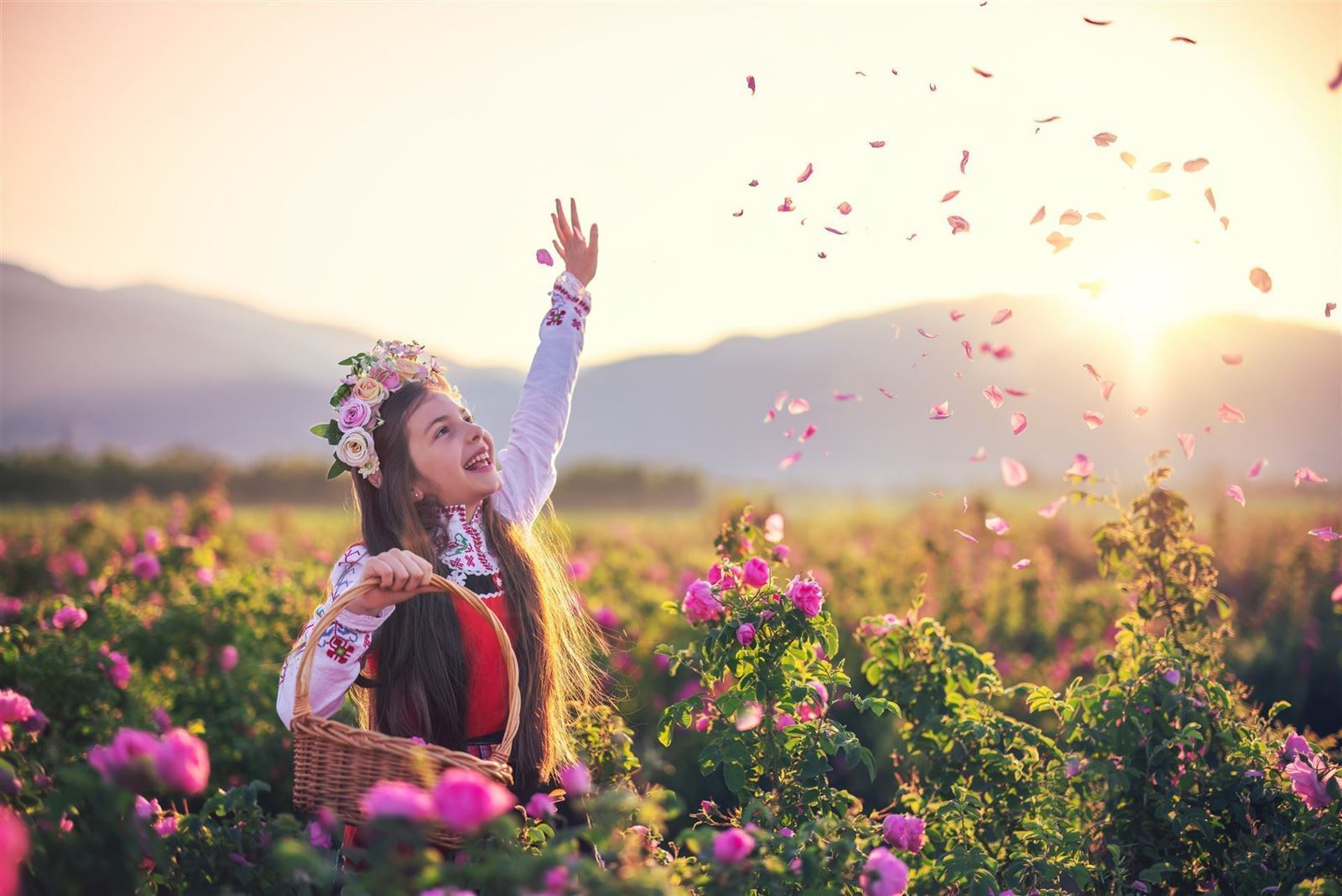 Mädchen bei der Rosenernte